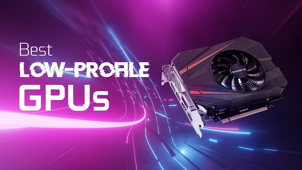 Best LowProfile & Compact Graphics Cards (GPU) for your needs [2024 Guide]