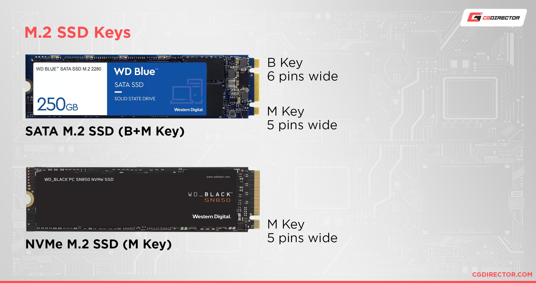NVMe vs. SATA vs. M.2 SSD Explained: What's the Differences?